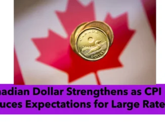 Canadian Dollar Strengthens as CPI Data Reduces Expectations for Large Rate Cuts