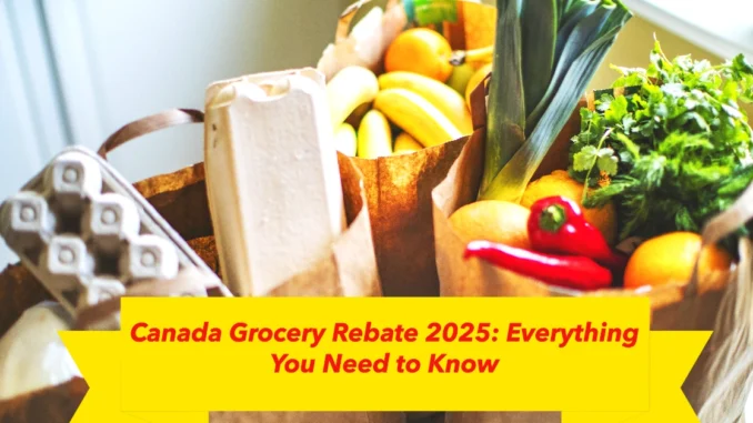 Canada Grocery Rebate 2025: Everything You Need to Know