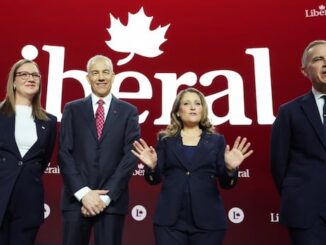 Liberals face challenge of securing the vote while keeping leadership race accessible